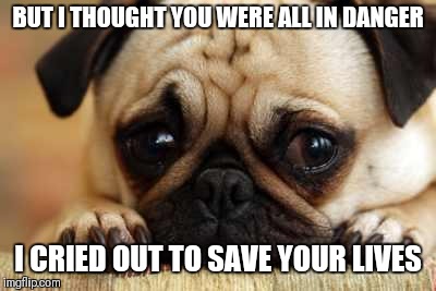 Sad Dog | BUT I THOUGHT YOU WERE ALL IN DANGER I CRIED OUT TO SAVE YOUR LIVES | image tagged in sad dog | made w/ Imgflip meme maker