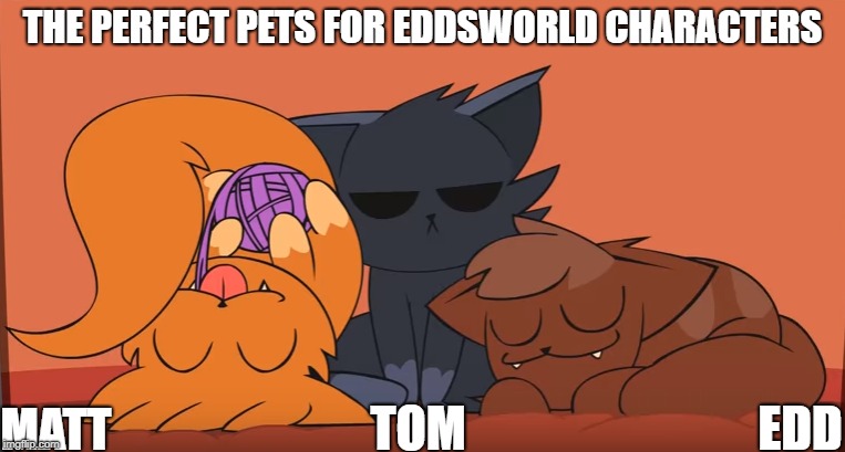 Eddsworld Cats | THE PERFECT PETS FOR EDDSWORLD CHARACTERS; TOM; EDD; MATT | image tagged in eddsworld,cats | made w/ Imgflip meme maker