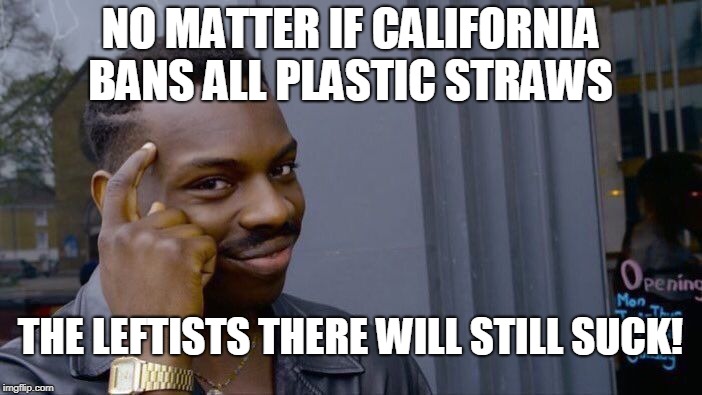 Roll Safe Think About It Meme | NO MATTER IF CALIFORNIA BANS ALL PLASTIC STRAWS THE LEFTISTS THERE WILL STILL SUCK! | image tagged in memes,roll safe think about it | made w/ Imgflip meme maker