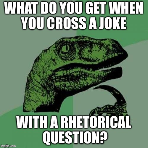 Philosoraptor | WHAT DO YOU GET WHEN YOU CROSS A JOKE; WITH A RHETORICAL QUESTION? | image tagged in memes,philosoraptor | made w/ Imgflip meme maker