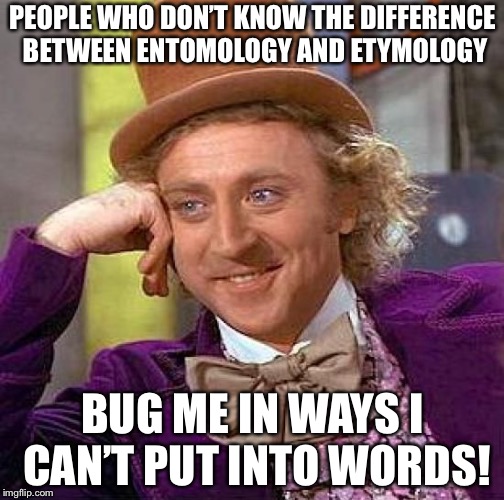Creepy Condescending Wonka |  PEOPLE WHO DON’T KNOW THE DIFFERENCE BETWEEN ENTOMOLOGY AND ETYMOLOGY; BUG ME IN WAYS I CAN’T PUT INTO WORDS! | image tagged in memes,willy wonka,gene wilder,bugs,words | made w/ Imgflip meme maker