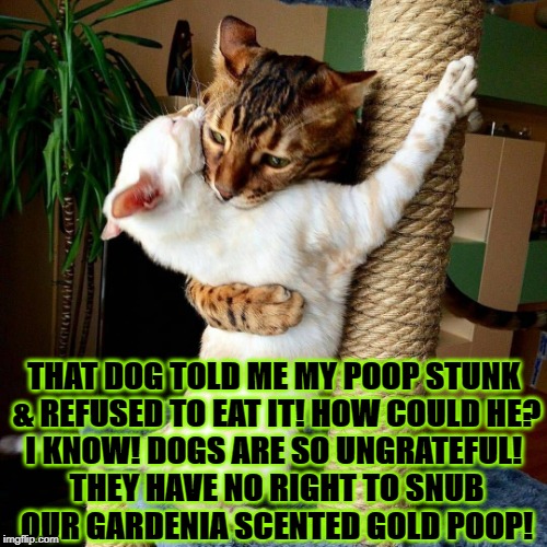 THAT DOG TOLD ME MY POOP STUNK & REFUSED TO EAT IT! HOW COULD HE? I KNOW! DOGS ARE SO UNGRATEFUL! THEY HAVE NO RIGHT TO SNUB OUR GARDENIA SCENTED GOLD POOP! | image tagged in poop eater | made w/ Imgflip meme maker