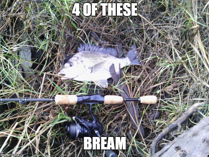 4 OF THESE BREAM | made w/ Imgflip meme maker
