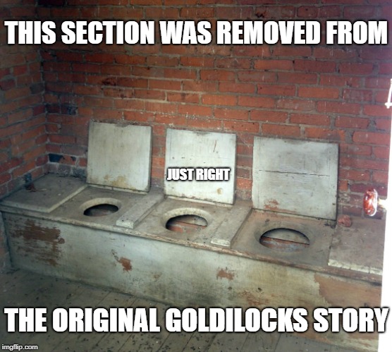 They always leave out the funny part | THIS SECTION WAS REMOVED FROM; JUST RIGHT; THE ORIGINAL GOLDILOCKS STORY | image tagged in children,family,toilet humor,puppies and kittens,teachers,beer | made w/ Imgflip meme maker