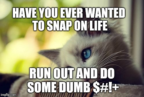 First World Problems Cat | HAVE YOU EVER WANTED TO SNAP ON LIFE; RUN OUT AND DO SOME DUMB $#!+ | image tagged in memes,first world problems cat | made w/ Imgflip meme maker