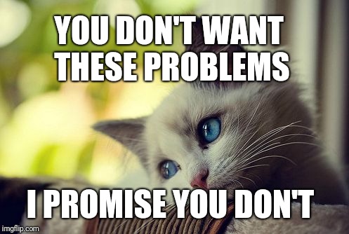 First World Problems Cat Meme | YOU DON'T WANT THESE PROBLEMS; I PROMISE YOU DON'T | image tagged in memes,first world problems cat | made w/ Imgflip meme maker