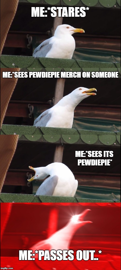 Inhaling Seagull | ME:*STARES*; ME:*SEES PEWDIEPIE MERCH ON SOMEONE; ME:*SEES ITS PEWDIEPIE*; ME:*PASSES OUT..* | image tagged in memes,inhaling seagull | made w/ Imgflip meme maker