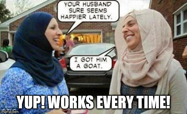YUP! WORKS EVERY TIME! | image tagged in muslims | made w/ Imgflip meme maker