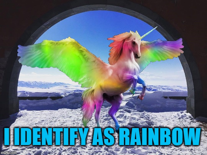 I IDENTIFY AS RAINBOW | image tagged in rainbow,unicorn,gender identity,love wins,still a better love story than twilight | made w/ Imgflip meme maker