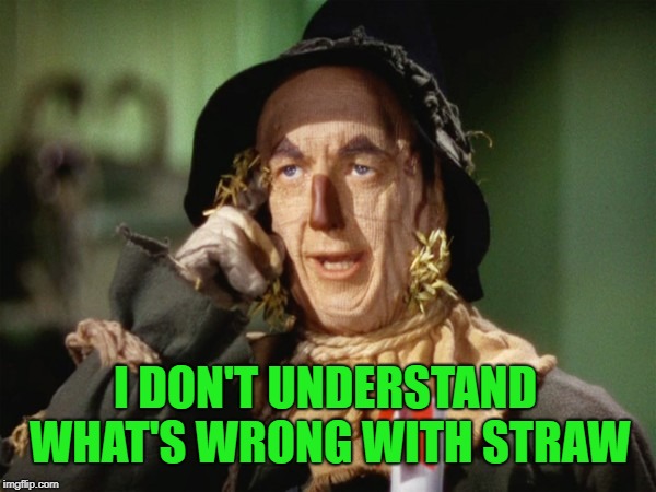 I DON'T UNDERSTAND WHAT'S WRONG WITH STRAW | image tagged in wizard of oz,straw,straws,california,eat it,rediculous | made w/ Imgflip meme maker
