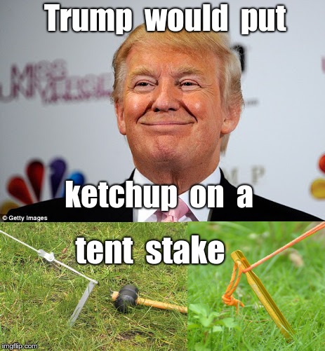 What's at Stake with Trump | Trump  would  put; ketchup  on  a; tent  stake | image tagged in donald trump,ketchup,memes,steak | made w/ Imgflip meme maker