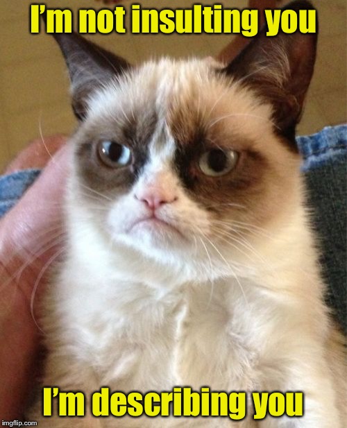 Grumpy Cat Meme | I’m not insulting you; I’m describing you | image tagged in memes,grumpy cat | made w/ Imgflip meme maker