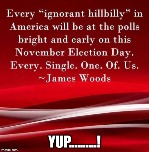 YUP..........! | image tagged in get out and vote | made w/ Imgflip meme maker