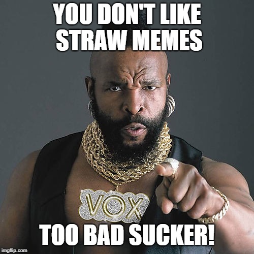When will it end? |  YOU DON'T LIKE STRAW MEMES; TOO BAD SUCKER! | image tagged in memes,mr t pity the fool,straws | made w/ Imgflip meme maker