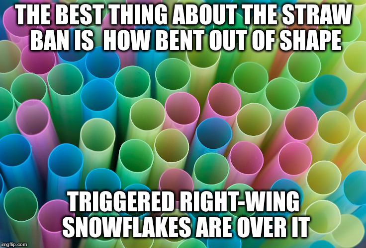 Is this too politically incorrect for you? | THE BEST THING ABOUT THE STRAW BAN IS  HOW BENT OUT OF SHAPE; TRIGGERED RIGHT-WING SNOWFLAKES ARE OVER IT | image tagged in humor,straws,conservatives,political correctness,conservative snowflakes,triggered conservatives | made w/ Imgflip meme maker