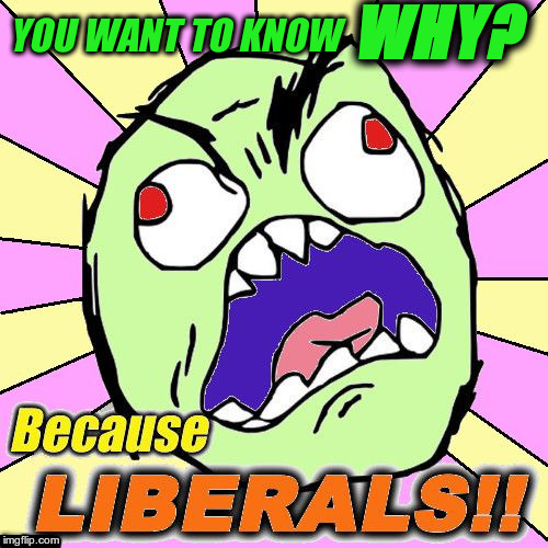 You want to know why?  BECAUSE LIBERALS!! | WHY? YOU WANT TO KNOW | image tagged in furious because liberals,angry,because,liberals,why,political | made w/ Imgflip meme maker