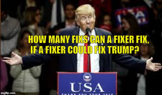Irreparable? | IF A FIXER COULD FIX TRUMP? HOW MANY FIXS CAN A FIXER FIX, | image tagged in guiliani,cohen | made w/ Imgflip meme maker