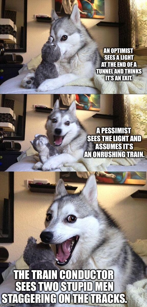 Bad Pun Dog | AN OPTIMIST SEES A LIGHT AT THE END OF A TUNNEL AND THINKS IT’S AN EXIT. A PESSIMIST SEES THE LIGHT AND ASSUMES IT’S AN ONRUSHING TRAIN. THE TRAIN CONDUCTOR SEES TWO STUPID MEN STAGGERING ON THE TRACKS. | image tagged in memes,bad pun dog | made w/ Imgflip meme maker