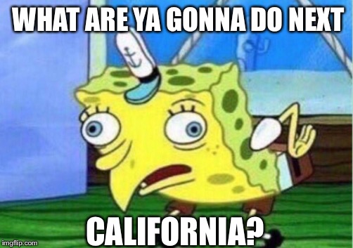 Mocking Spongebob | WHAT ARE YA GONNA DO NEXT; CALIFORNIA? | image tagged in memes,mocking spongebob | made w/ Imgflip meme maker
