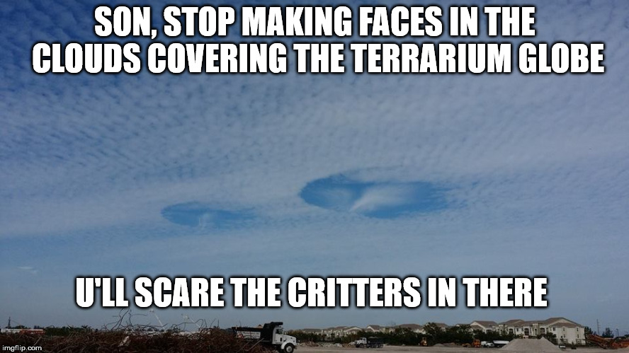 SON, STOP MAKING FACES IN THE CLOUDS COVERING THE TERRARIUM GLOBE; U'LL SCARE THE CRITTERS IN THERE | made w/ Imgflip meme maker