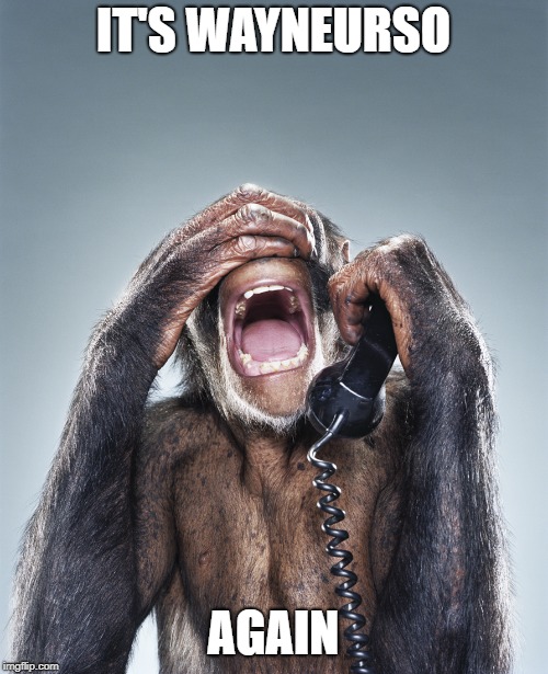 Monkey on Phone | IT'S WAYNEURSO AGAIN | image tagged in monkey on phone | made w/ Imgflip meme maker