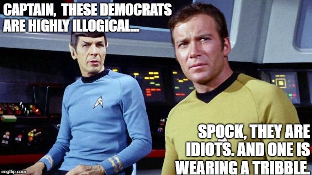 Star Trek conservatives | CAPTAIN, 
THESE DEMOCRATS ARE HIGHLY ILLOGICAL... SPOCK, THEY ARE IDIOTS. AND ONE IS WEARING A TRIBBLE. | image tagged in conservative,republican,democrate,tribbles | made w/ Imgflip meme maker