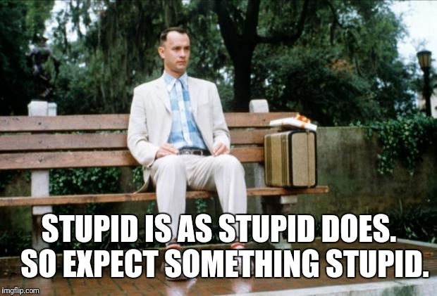 Forrest Gump | STUPID IS AS STUPID DOES.  SO EXPECT SOMETHING STUPID. | image tagged in forrest gump | made w/ Imgflip meme maker