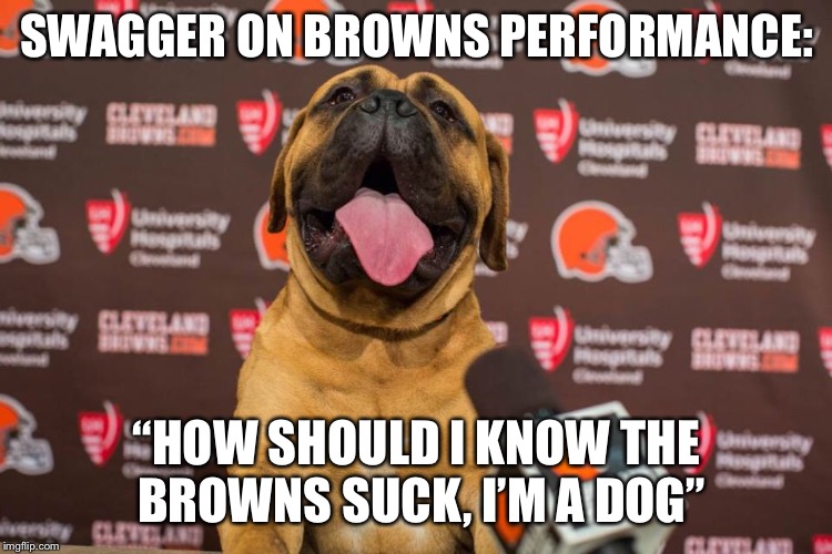 SWAGGER ON BROWNS PERFORMANCE:; “HOW SHOULD I KNOW THE BROWNS SUCK, I’M A DOG” | image tagged in memes,dogs,cleveland browns | made w/ Imgflip meme maker
