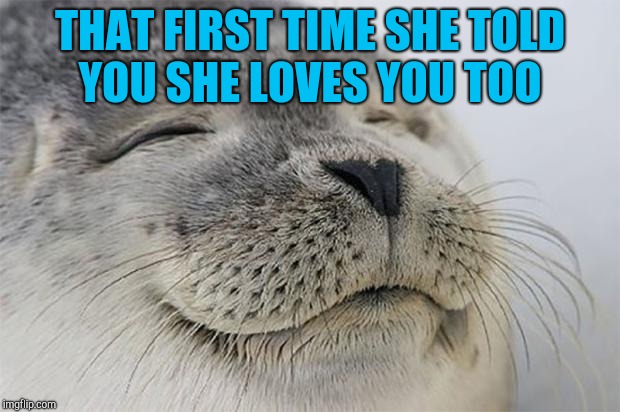 Makes my heart melt to think if it :-) <3  | THAT FIRST TIME SHE TOLD YOU SHE LOVES YOU TOO | image tagged in memes,satisfied seal,jbmemegeek,love,relationships | made w/ Imgflip meme maker