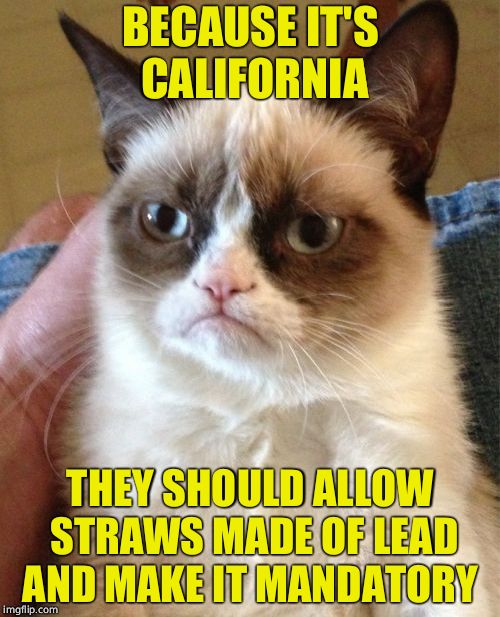 And dusted with asbestos | BECAUSE IT'S CALIFORNIA; THEY SHOULD ALLOW STRAWS MADE OF LEAD AND MAKE IT MANDATORY | image tagged in memes,grumpy cat,california,straws,straw,politics | made w/ Imgflip meme maker