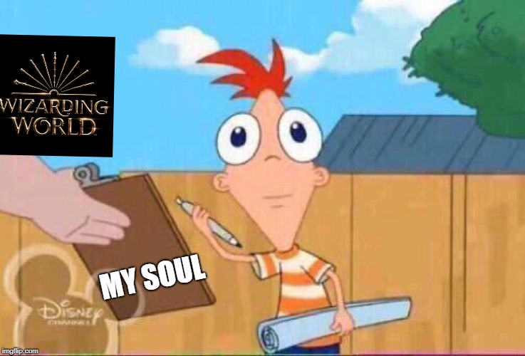 MY SOUL | image tagged in harry potter,wizarding world,hp | made w/ Imgflip meme maker