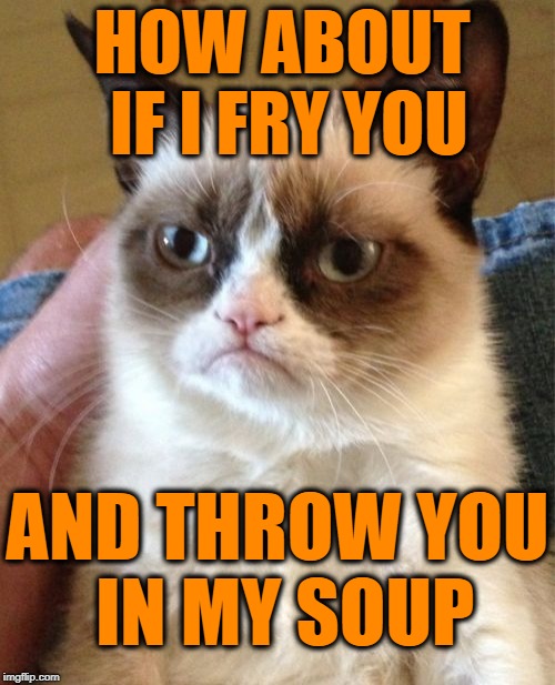 Grumpy Cat Meme | HOW ABOUT IF I FRY YOU AND THROW YOU IN MY SOUP | image tagged in memes,grumpy cat | made w/ Imgflip meme maker