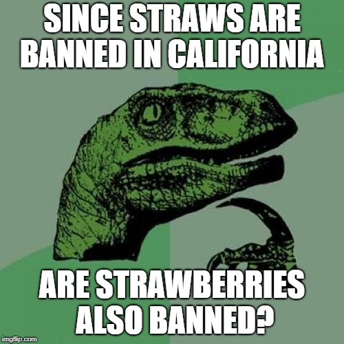 Philosoraptor | SINCE STRAWS ARE BANNED IN CALIFORNIA; ARE STRAWBERRIES ALSO BANNED? | image tagged in memes,philosoraptor,straws,california | made w/ Imgflip meme maker