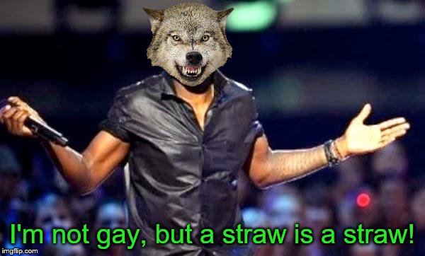 Kanye Shoulder Shrug | I'm not gay, but a straw is a straw! | image tagged in kanye shoulder shrug | made w/ Imgflip meme maker