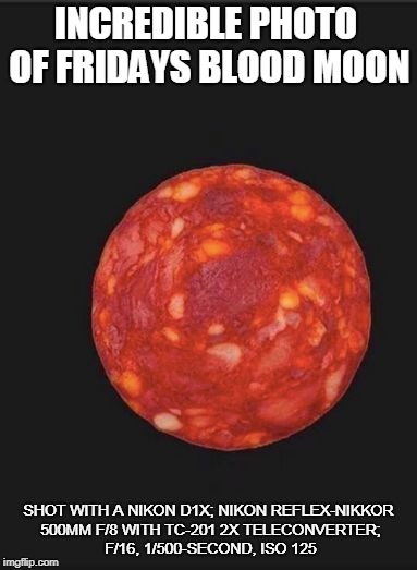 Indisputable Proof That It's Not Made Of Cheese | INCREDIBLE PHOTO OF FRIDAYS BLOOD MOON; SHOT WITH A NIKON D1X; NIKON REFLEX-NIKKOR 500MM F/8 WITH TC-201 2X TELECONVERTER; F/16, 1/500-SECOND, ISO 125 | image tagged in blood moon,moon,memes,photography,moon landing,cheese | made w/ Imgflip meme maker