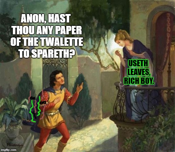 Romeo and Juliet Balcony Scene  | ANON, HAST THOU ANY PAPER OF THE TWALETTE TO SPARETH? USETH LEAVES, RICH BOY. | image tagged in romeo and juliet balcony scene | made w/ Imgflip meme maker