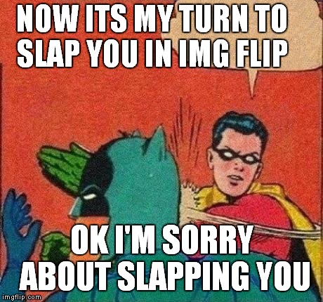 Robin Slaps Batman | NOW ITS MY TURN TO SLAP YOU IN IMG FLIP; OK I'M SORRY ABOUT SLAPPING YOU | image tagged in robin slaps batman | made w/ Imgflip meme maker