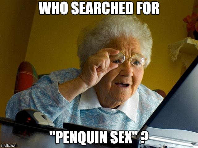 Grandma Finds The Internet Meme | WHO SEARCHED FOR "PENQUIN SEX" ? | image tagged in memes,grandma finds the internet | made w/ Imgflip meme maker