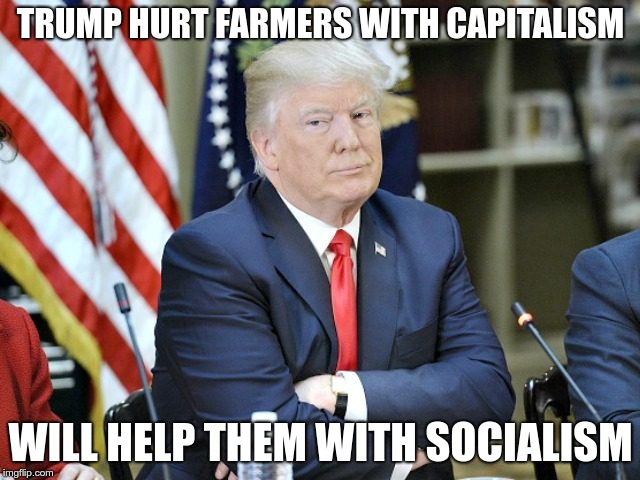 Handouts | TRUMP HURT FARMERS WITH CAPITALISM; WILL HELP THEM WITH SOCIALISM | image tagged in trump,socialism,capitalism,fascist | made w/ Imgflip meme maker