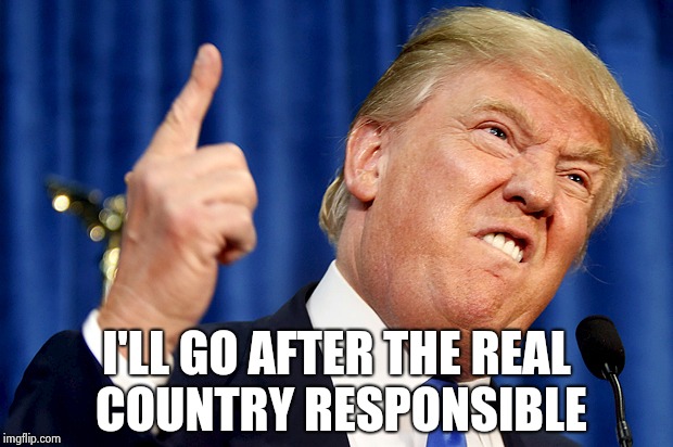Donald Trump | I'LL GO AFTER THE REAL COUNTRY RESPONSIBLE | image tagged in donald trump | made w/ Imgflip meme maker