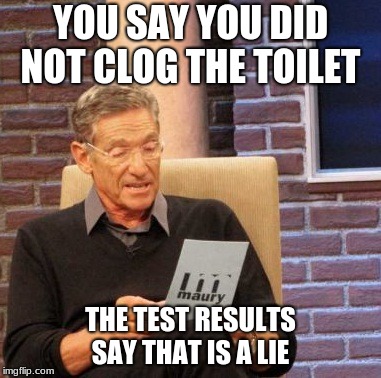 Maury Lie Detector | YOU SAY YOU DID NOT CLOG THE TOILET; THE TEST RESULTS SAY THAT IS A LIE | image tagged in memes,maury lie detector | made w/ Imgflip meme maker