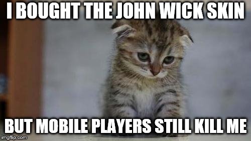 Sad kitten | I BOUGHT THE JOHN WICK SKIN; BUT MOBILE PLAYERS STILL KILL ME | image tagged in sad kitten | made w/ Imgflip meme maker