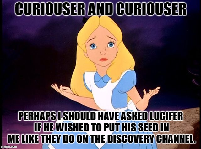 Alice in Wonderland | CURIOUSER AND CURIOUSER; PERHAPS I SHOULD HAVE ASKED LUCIFER IF HE WISHED TO PUT HIS SEED IN ME LIKE THEY DO ON THE DISCOVERY CHANNEL. | image tagged in alice in wonderland | made w/ Imgflip meme maker
