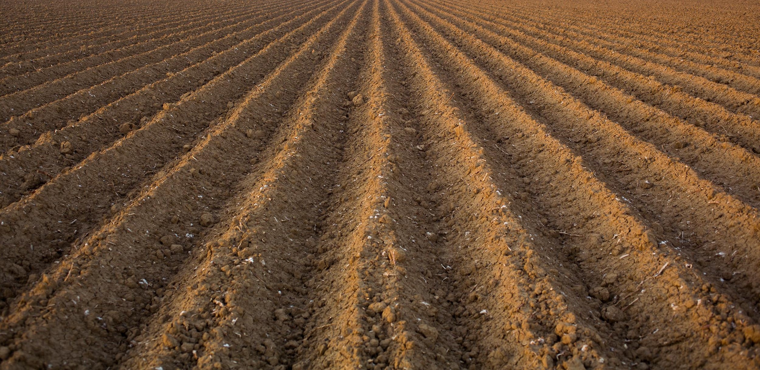 High Quality Empty Field Where Fucks Are Grown Blank Meme Template