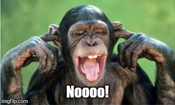chimp denial | Noooo! | image tagged in chimp denial | made w/ Imgflip meme maker