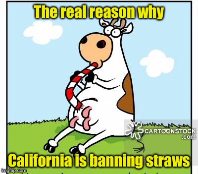 Another straw meme for the front page | The real reason why; California is banning straws | image tagged in memes,straws,cow,straw | made w/ Imgflip meme maker