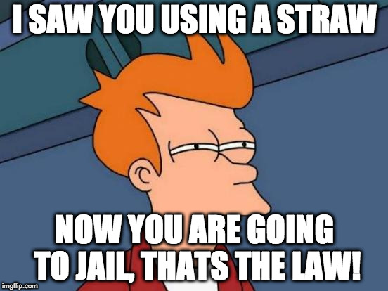 Futurama Fry Meme | I SAW YOU USING A STRAW; NOW YOU ARE GOING TO JAIL, THATS THE LAW! | image tagged in memes,futurama fry | made w/ Imgflip meme maker