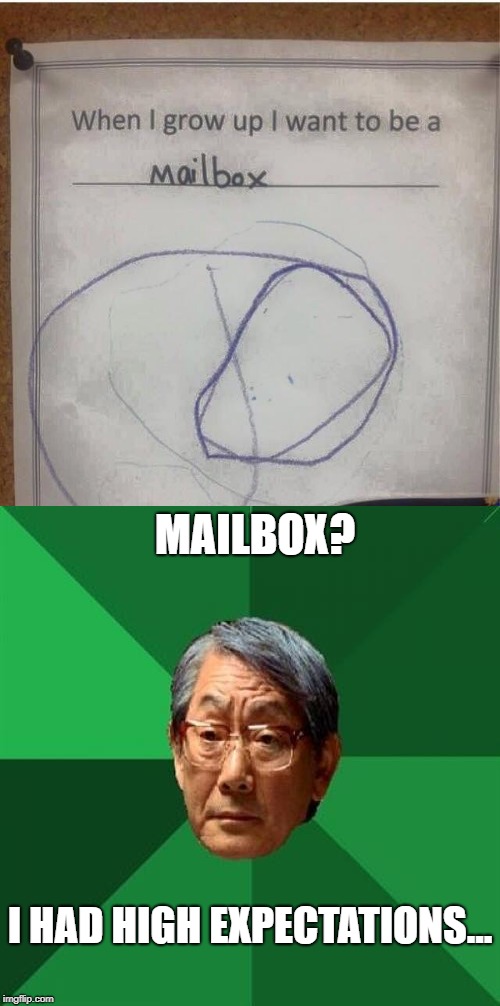 Disappointed Asian Father | MAILBOX? I HAD HIGH EXPECTATIONS... | image tagged in high expectation asian dad,disappointment,mailbox | made w/ Imgflip meme maker