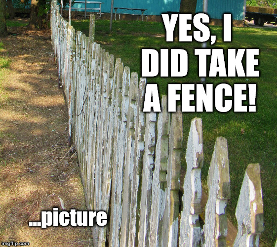 Please Take a Fence | YES, I DID TAKE A FENCE! ...picture | image tagged in old posts,puns,offense,posts,memes | made w/ Imgflip meme maker