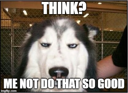 Dubious Husky | THINK? ME NOT DO THAT SO GOOD | image tagged in dubious husky | made w/ Imgflip meme maker